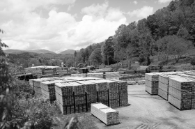 increased_timber_inventory_at_reliance_timber