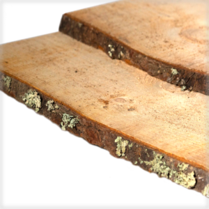 Siding-Feather-Edge_conventional_home_products