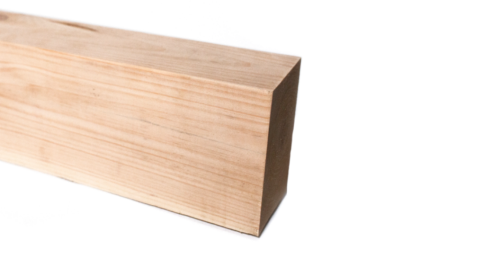 eastern_white_pine_characteristics