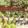 timber_frame_outdoor_pavilion