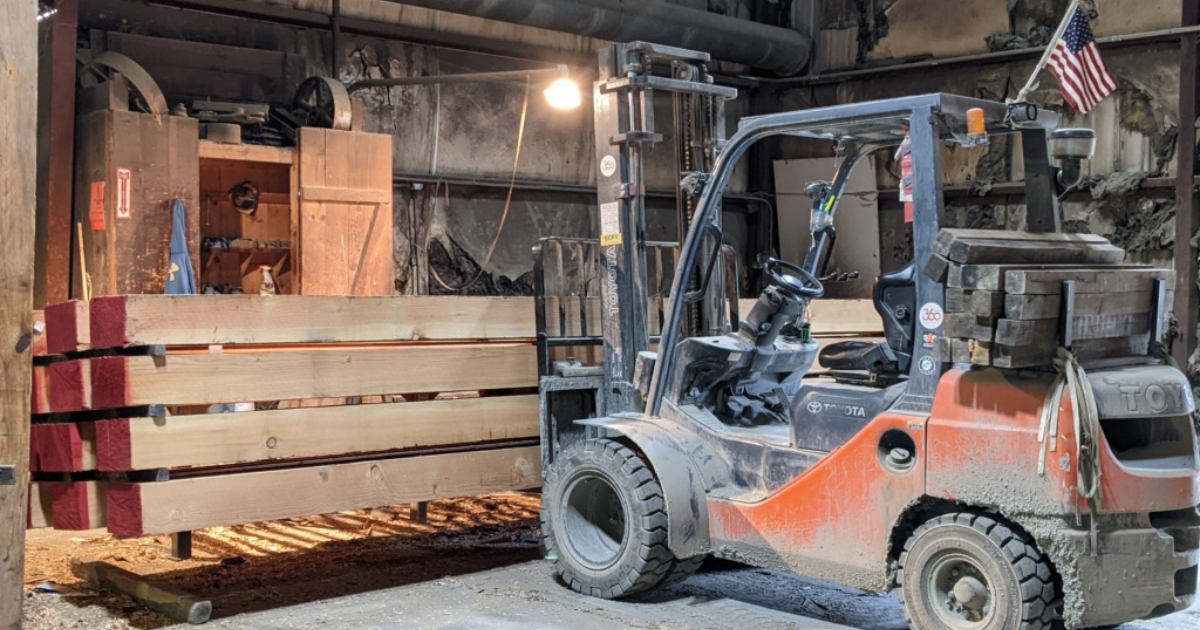 Eastern White Pine vs Douglas Fir: Why FOHC Douglas Fir Is a Suitable Alternative for Log Homes