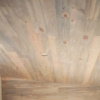 blue stain white pine