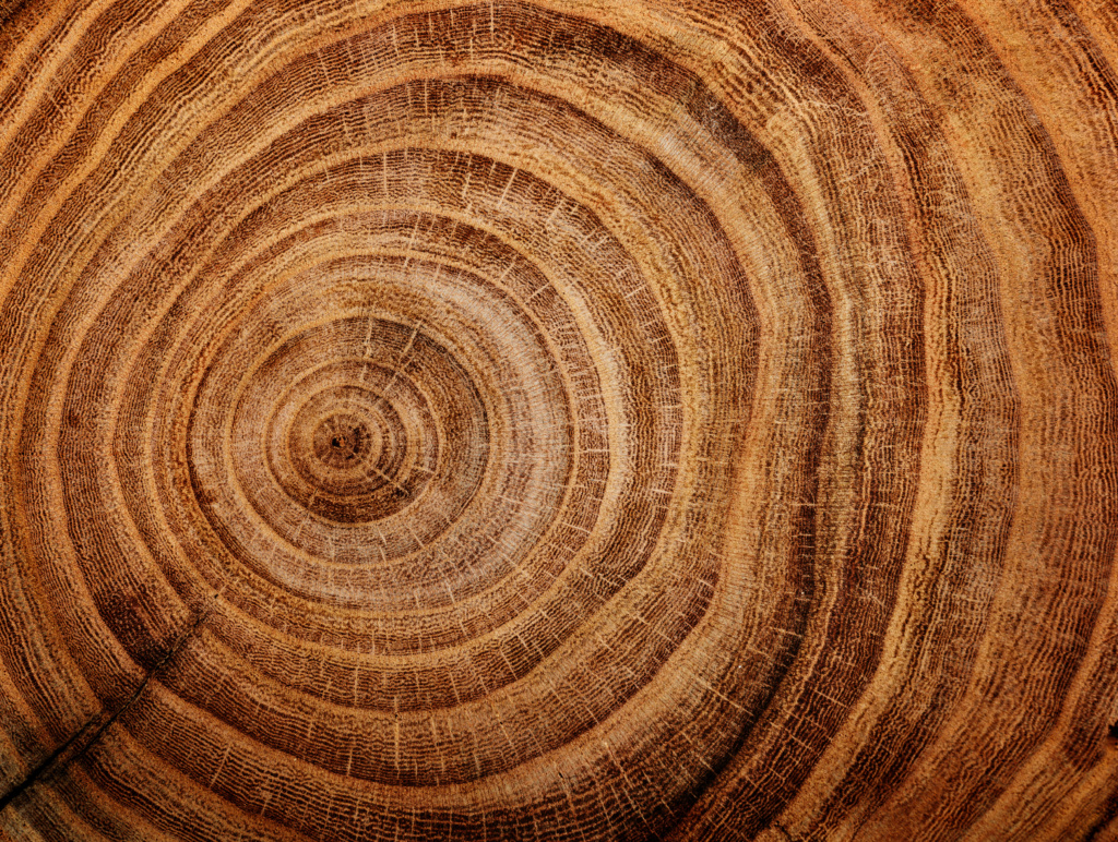 Oak Flooring