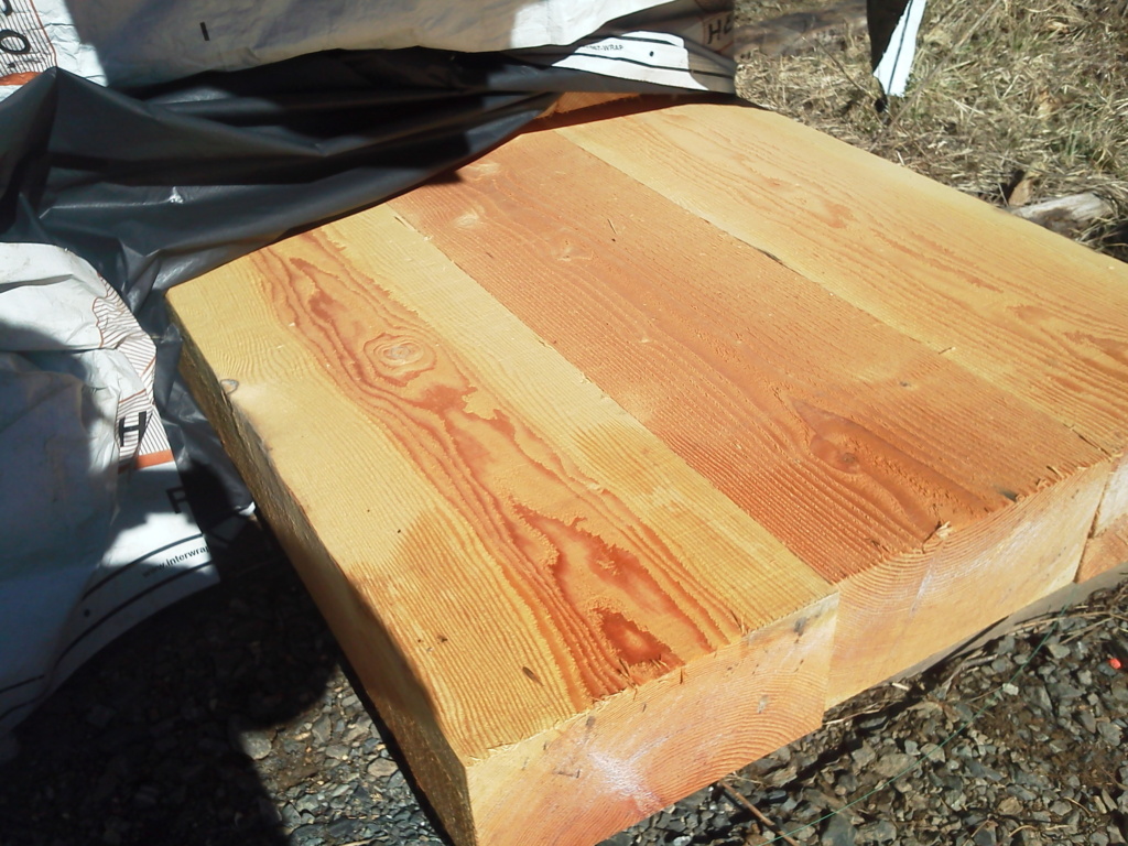 douglas fir as a wood species